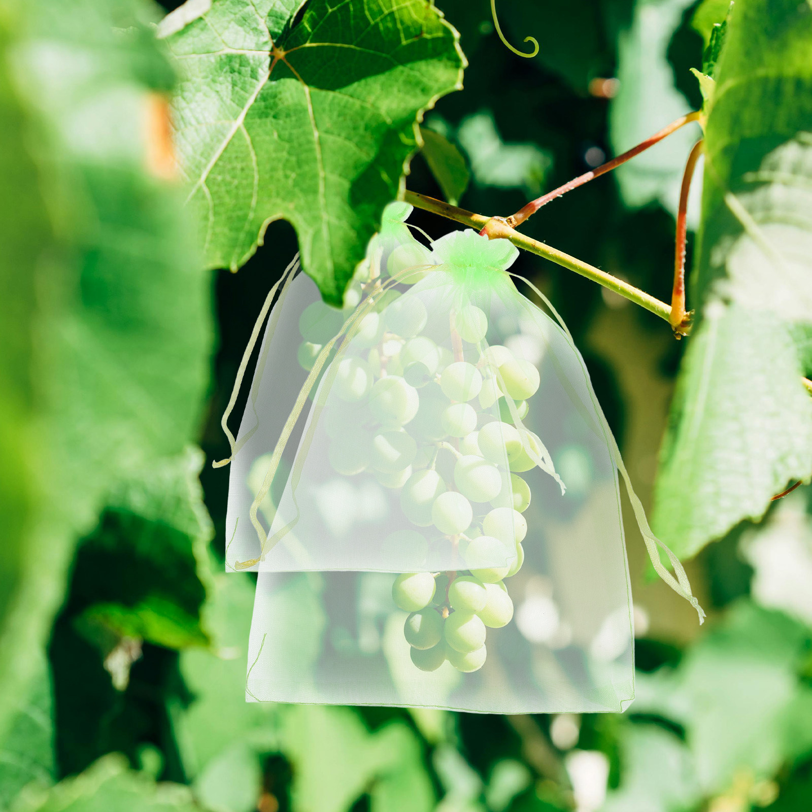 30 stuks Tuinnet Vogelnet Frui - Mesh Net Bag recensie en prijs