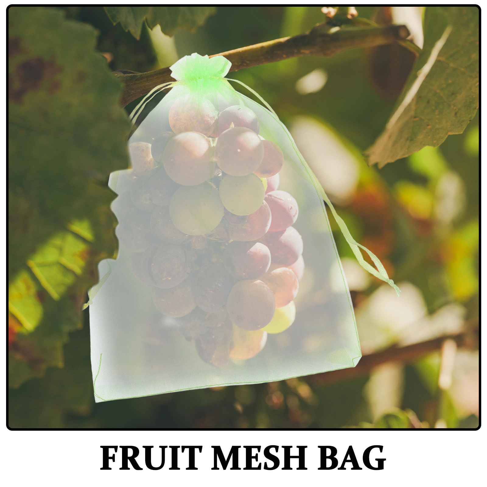 30 stuks Tuinnet Vogelnet Frui - Mesh Net Bag recensie en prijs